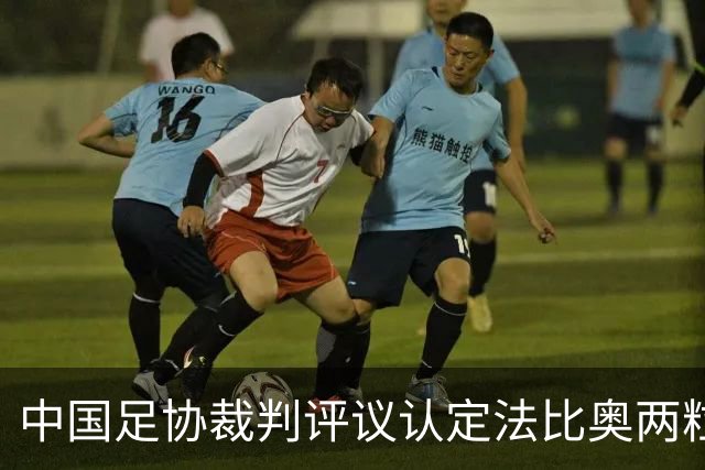 中国足协裁判评议认定法比奥两粒进球均为好球